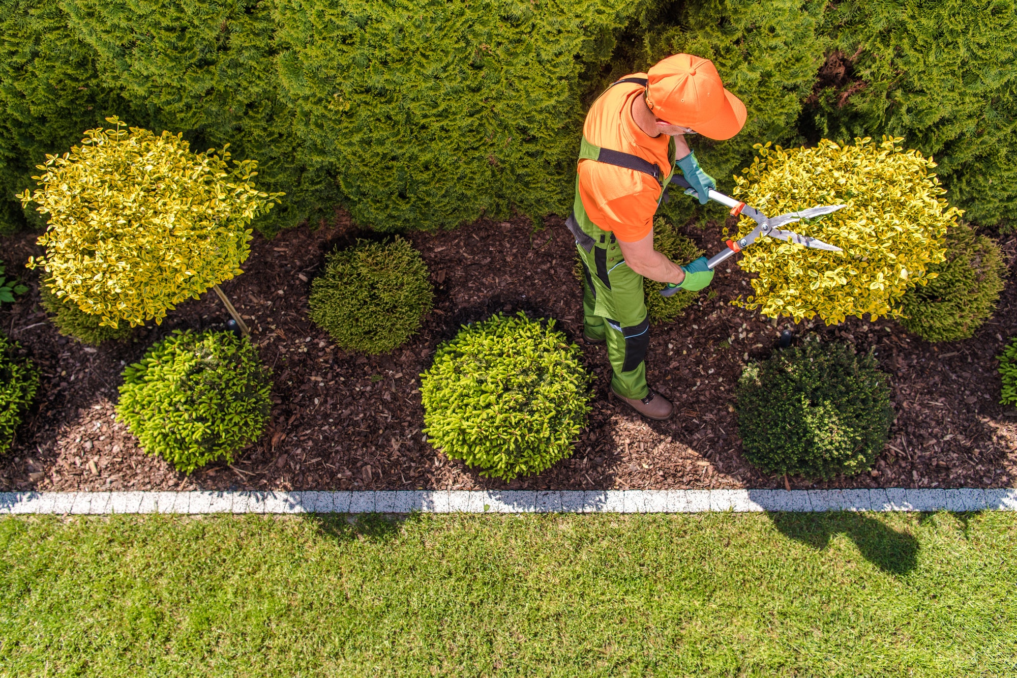 About Company - Professional Gardener At Work - Hortilinks International