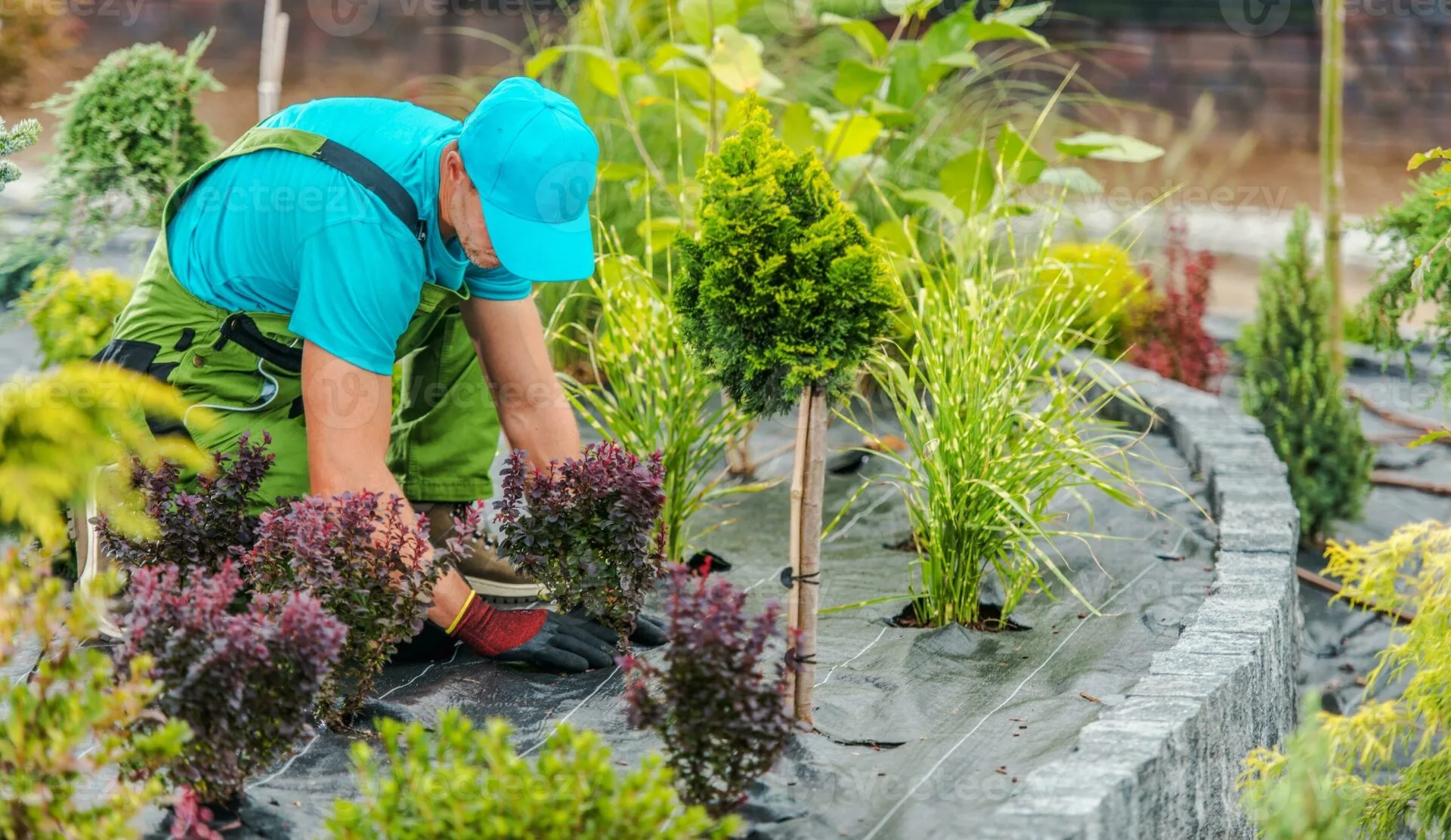 Garden Maintenance Services - Professional Garden Landscape Maintenance Services - Hortilinks International