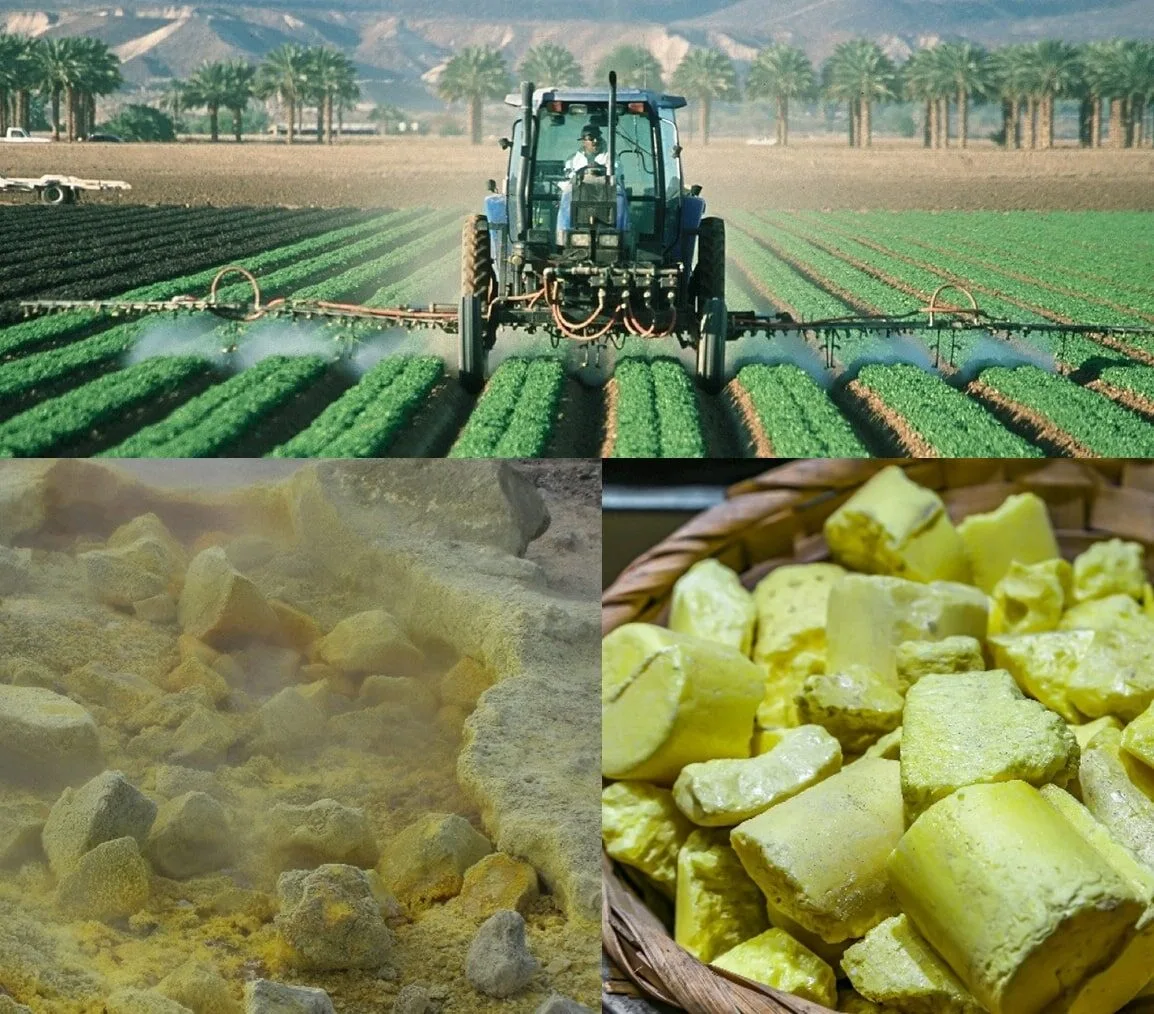 Supply Of Horti Products - Sulfur Pesticide - Hortilinks International