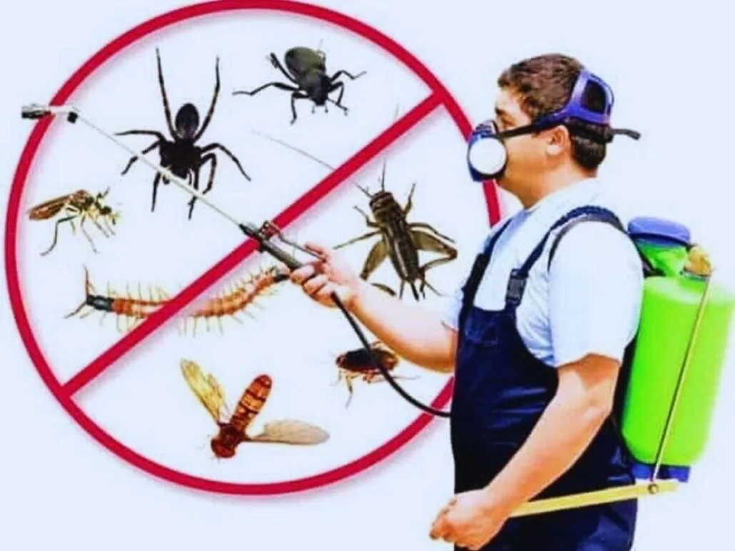 PEST NIL Pest Control Amp Termite Services - Termite Treatment Services - Hortilinks International