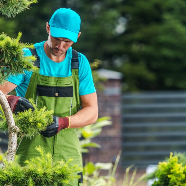 Home - Garden Maintenance Performed By Pro Gardener - Hortilinks International